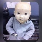 آیا از بازی پوکر نقدی در سایت شرط بندی خبر دارید؟ راهنمای کامل برای شروع و بهرهبرداری بهتر